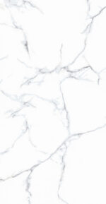 CALACATTA GRIGIO full lappato - Slika 3