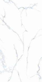 CALACATTA GRIGIO full lappato